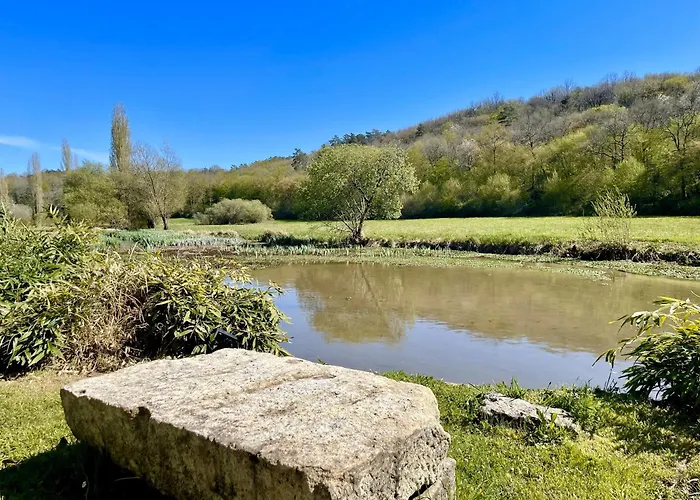 La Mailleraie - Le Moulin Apartment Valojoulx