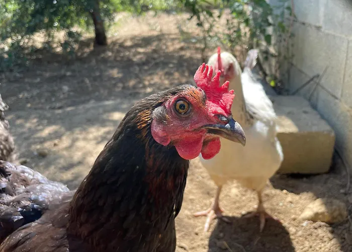 La Mailleraie - Le Moulin Apartment